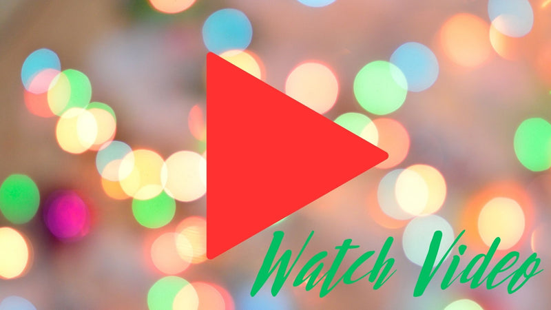 HIGHLIGHTS | Inauguration of the Vatican Christmas Tree and Nativity Scene 2024